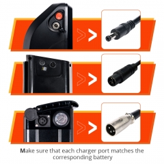 3 portals of 48V 4A Battery Charger