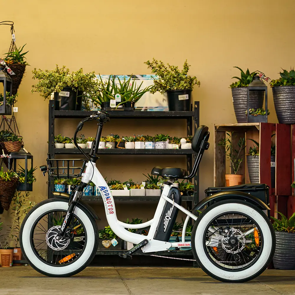 TRIKETAN M330 Electric Fat Trike vs. Anywhere's Fat Tire eTrike