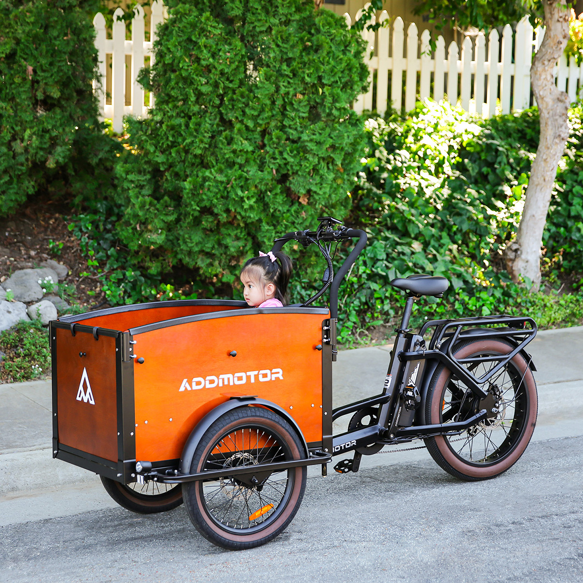 Exploring the Features of the Addmotor Folding Electric Tricycle: A ...