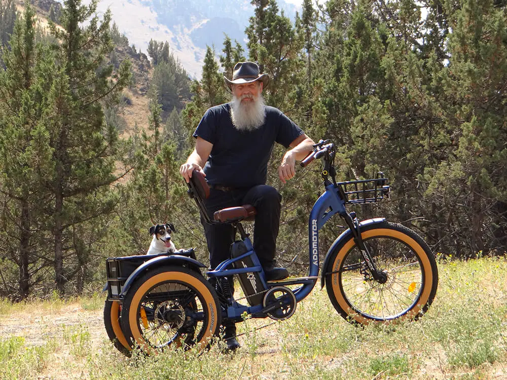 Electric Trike