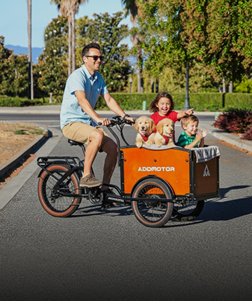 Electric Cargo Bike